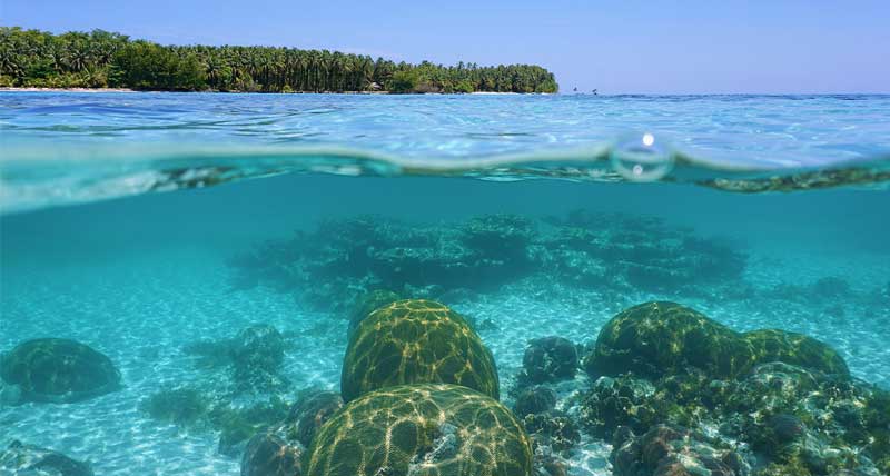 Digitale zee- en rivierbodems